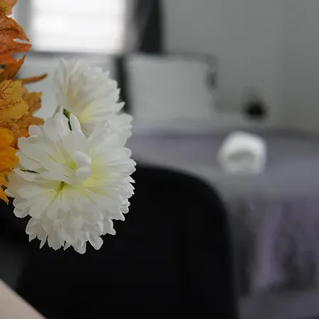 Zamilla Privatunterkunft *