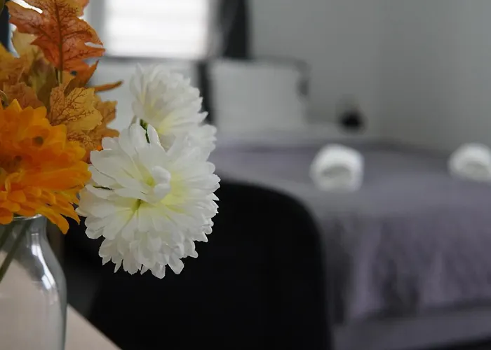 Zamilla منزل للإقامة *